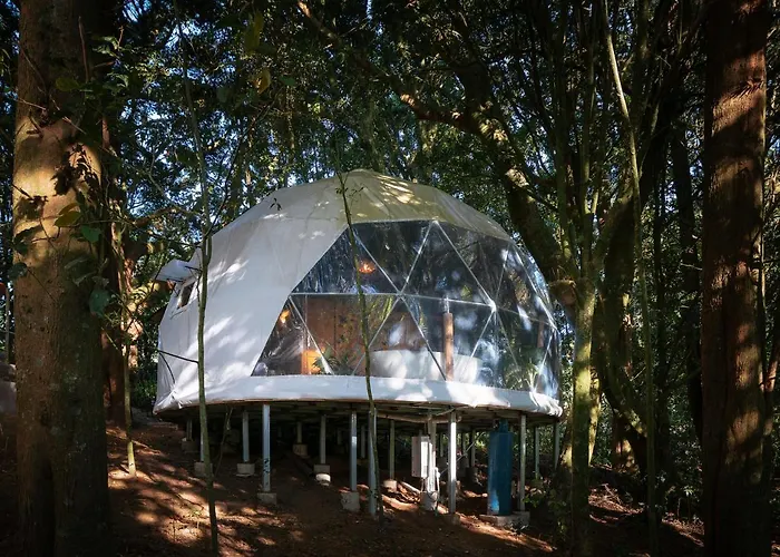 Altura Hotel